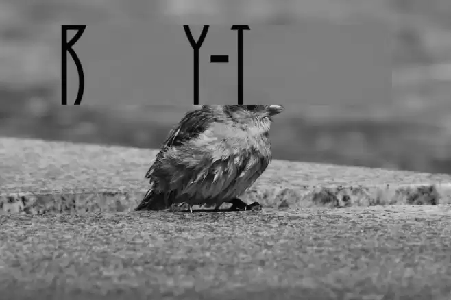 Runy-Tunes Font examples