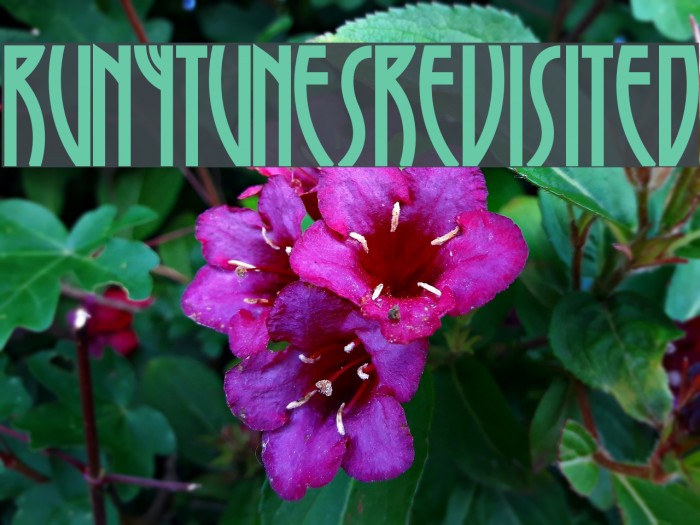 RunyTunesRevisited फ़ॉन्ट examples