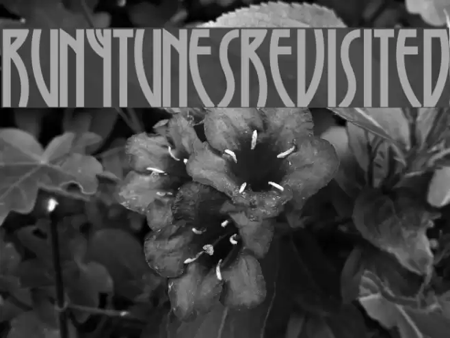 RunyTunesRevisited Font examples