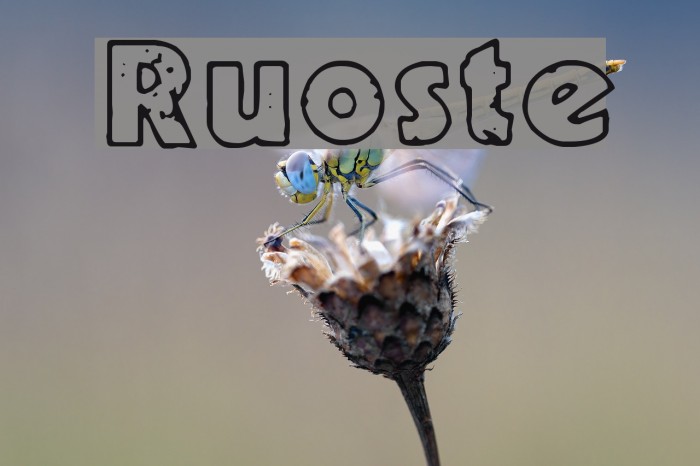 Ruoste Font examples