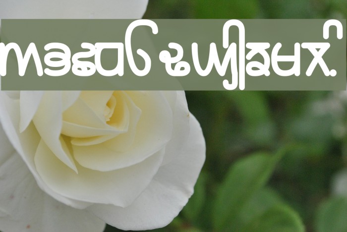 Rupe Black Font examples