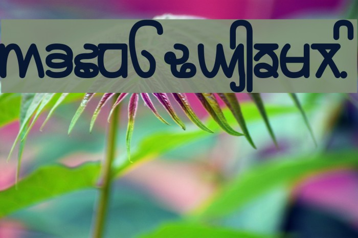 Rupe Black Font examples