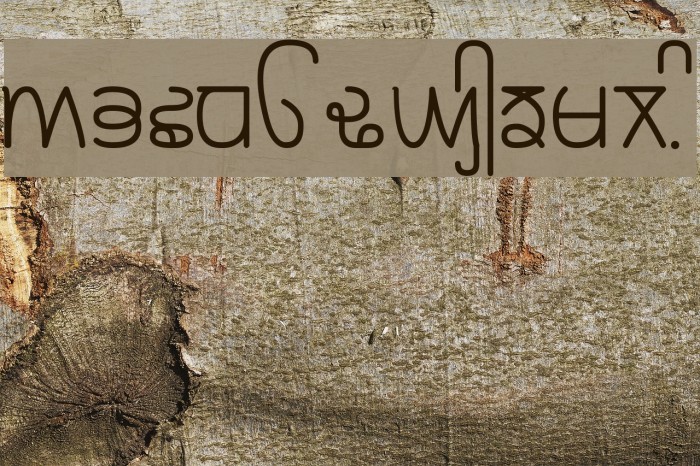 Rupe Book Font examples