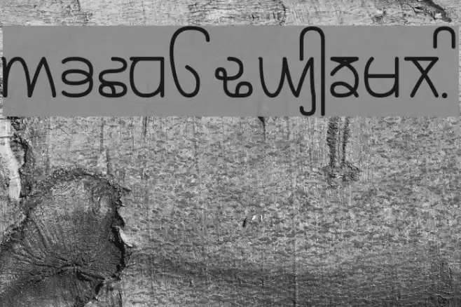 Rupe Book Шрифта examples