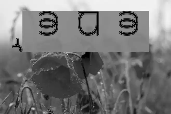 Rupe Border Demi Bold Font examples