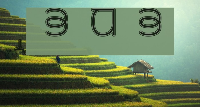 Rupe Border Demi Bold Font examples