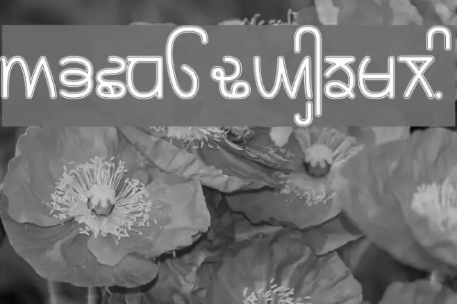 Rupe Border Heavy Font examples