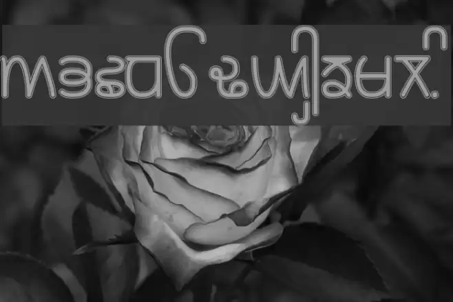 Rupe Border Heavy Font examples