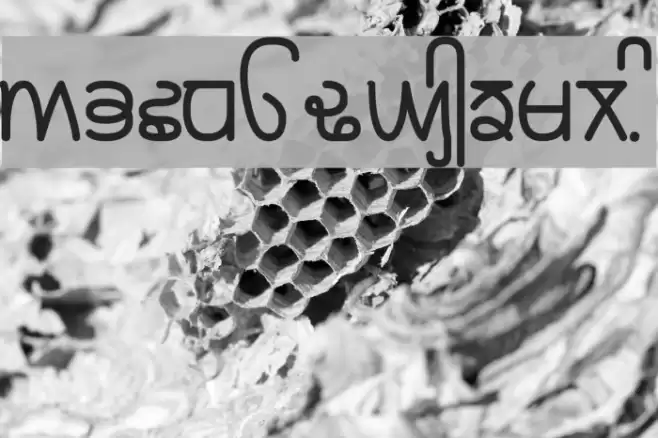 Rupe Demi Bold Font examples