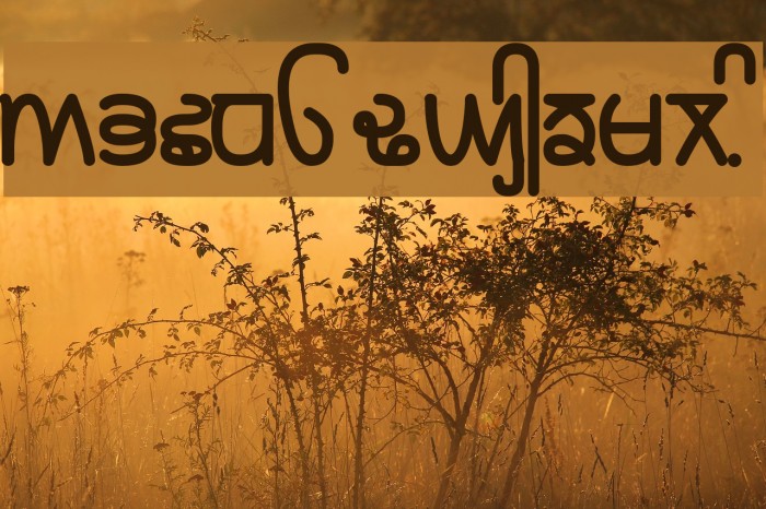 Rupe Heavy Font examples