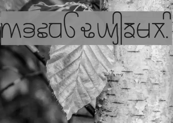 Rupe Light Font examples