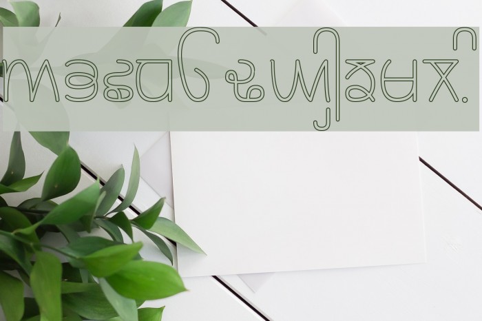 Rupe Outline Book Font examples
