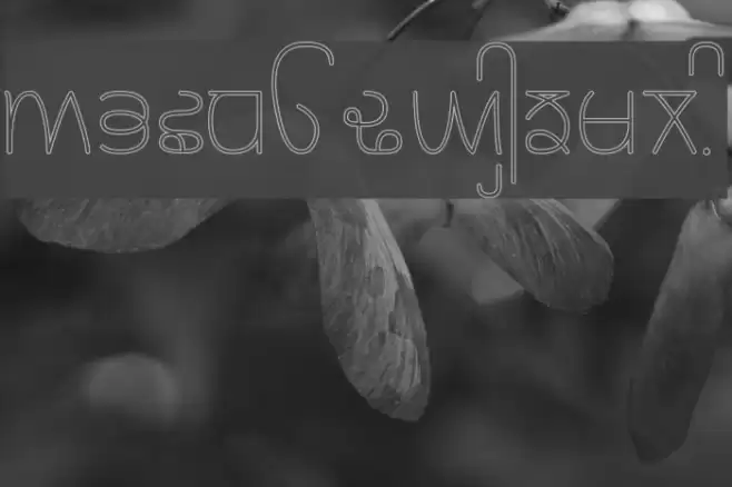 Rupe Outline Light Font examples