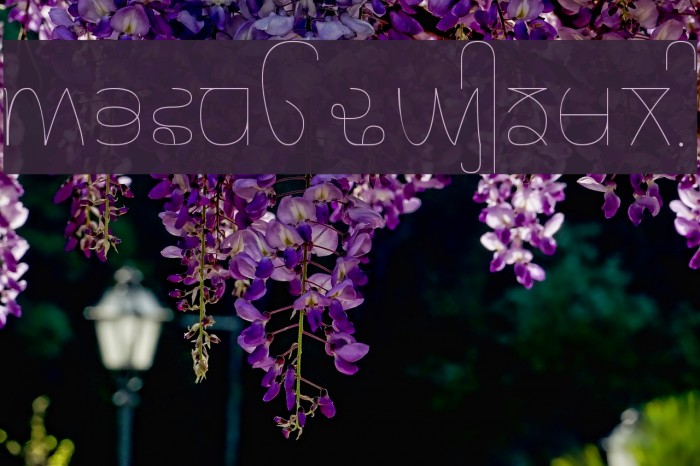 Rupe Ultra Thin Font examples