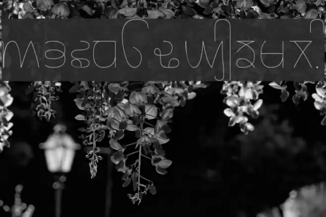 Rupe Ultra Thin Fuentes examples