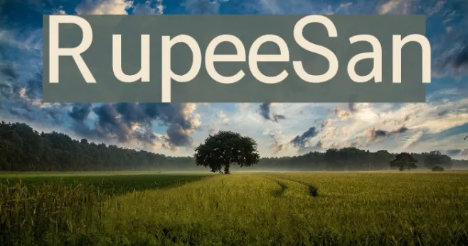 RupeeSan Example 2