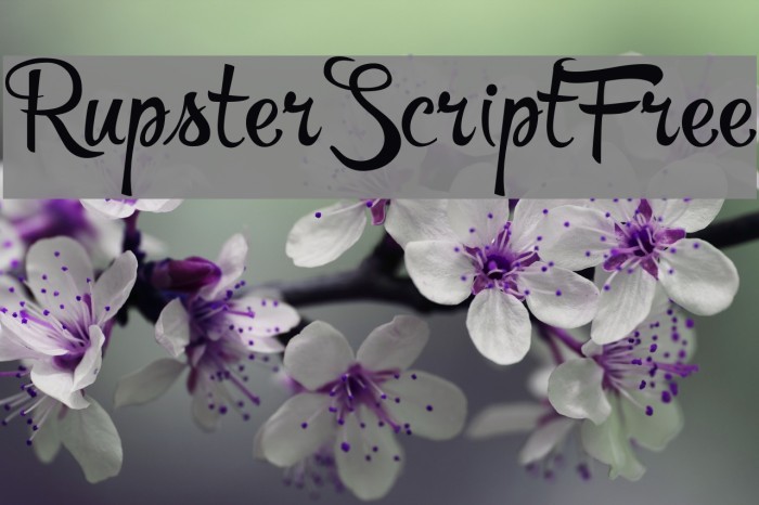 RupsterScriptFree Example 1