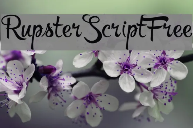 RupsterScriptFree Example 1