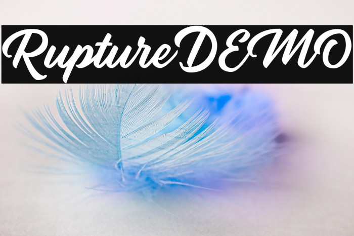 RuptureDEMO Example 2