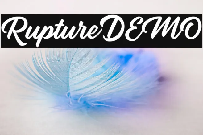 RuptureDEMO Example 2