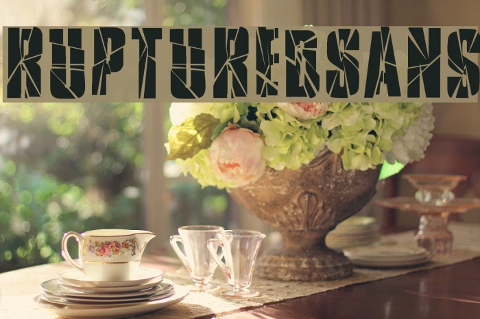 RupturedSans Font examples