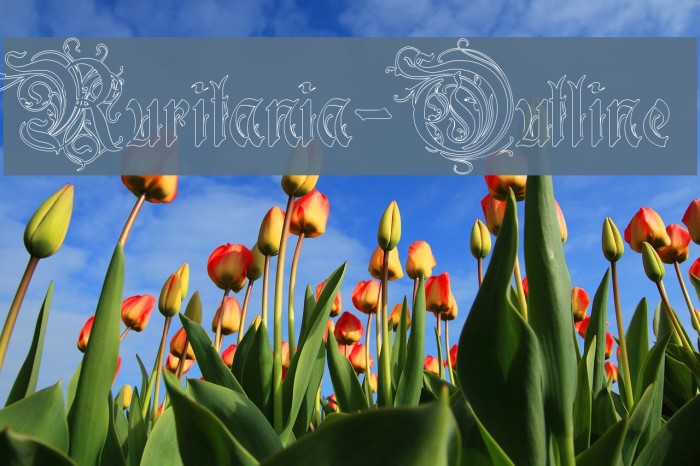 Ruritania-Outline لخطوط تنزيل examples