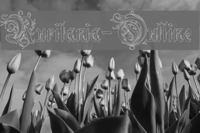 Ruritania-Outline خط examples