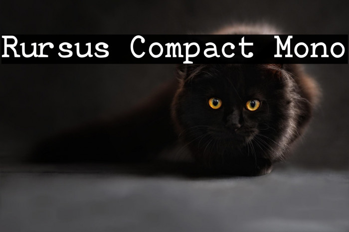 Rursus Compact Mono Example 1