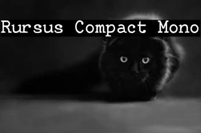 Rursus Compact Mono Шрифта examples