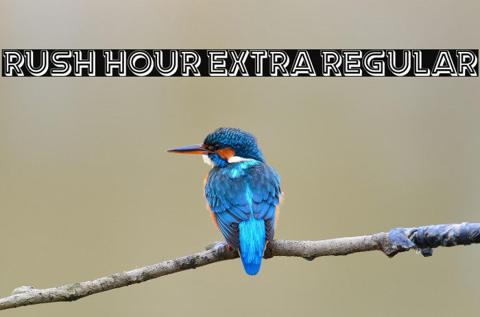 Rush Hour Extra Regular Example 1