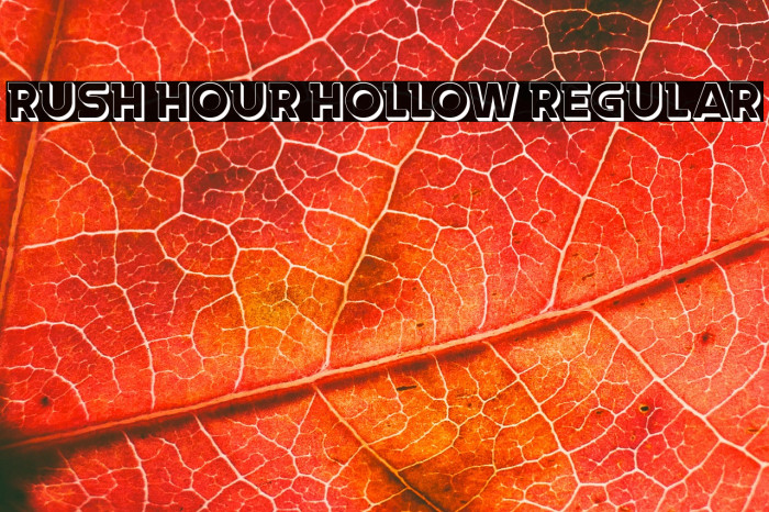 Rush Hour Hollow Regular Example 2