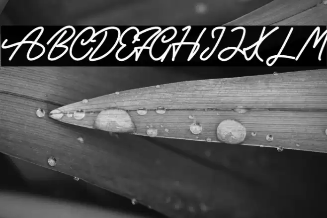 Rush Hour Font examples