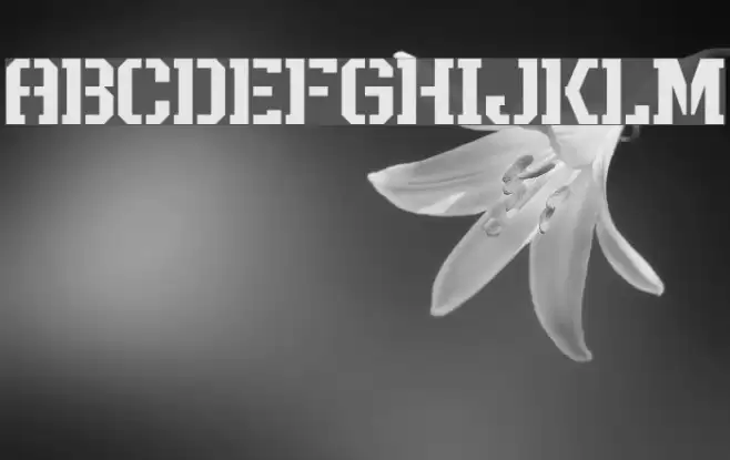 Rush Rush Font examples