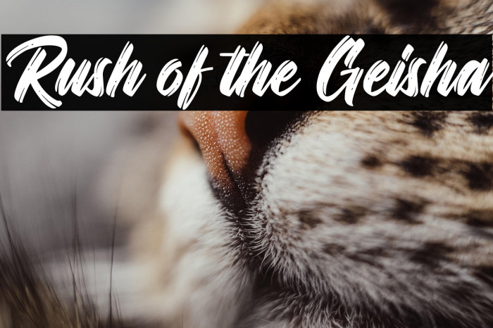 Rush of the Geisha Example 3