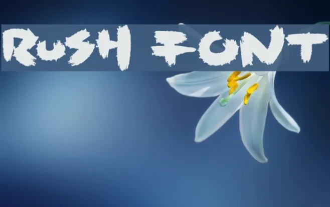 Rush Example 1
