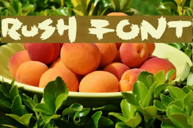 Rush Example 3