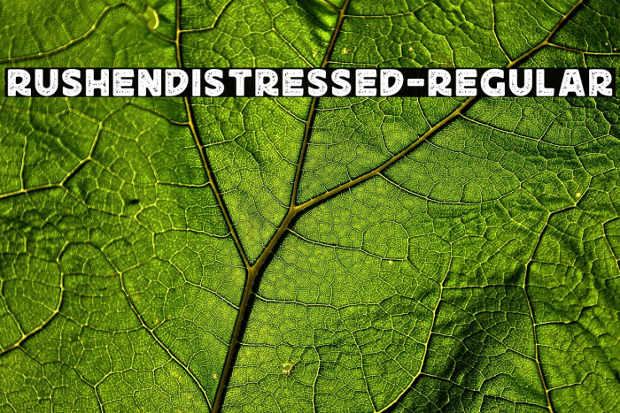 RushenDistressed-Regular Example 2