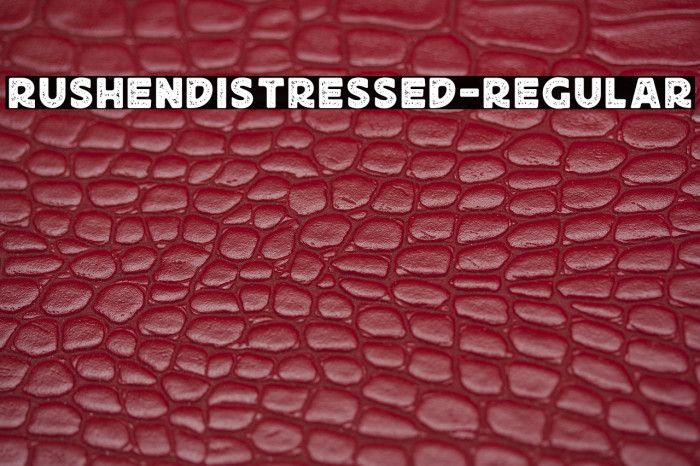 RushenDistressed-Regular Example 3