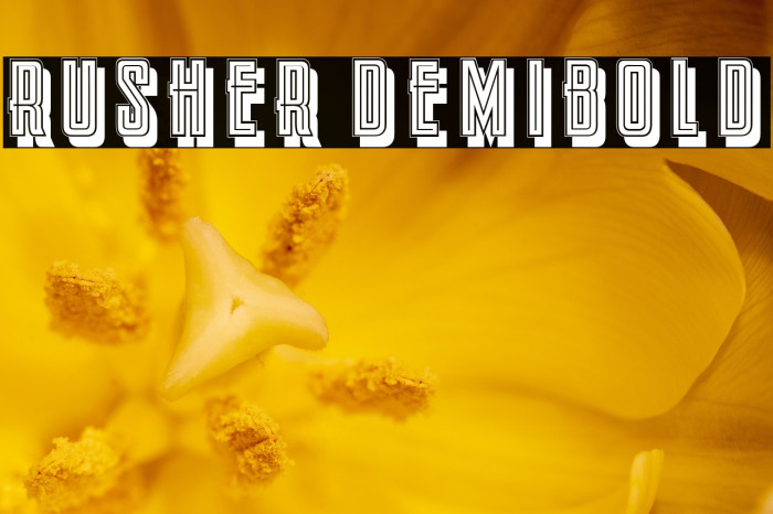Rusher DemiBold Example 2