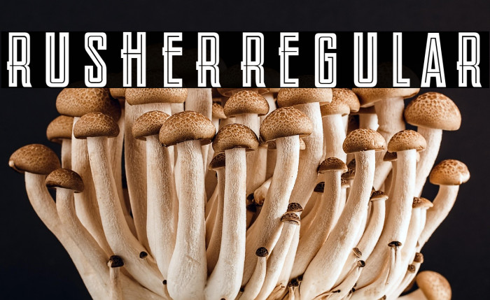 Rusher Regular Example 1