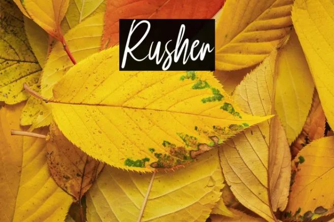 Rusher Example 3