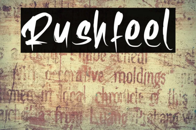 Rushfeel Example 1