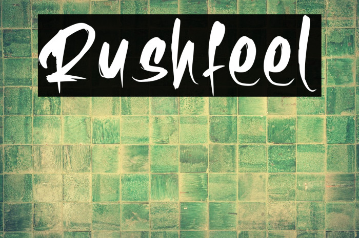 Rushfeel Example 3