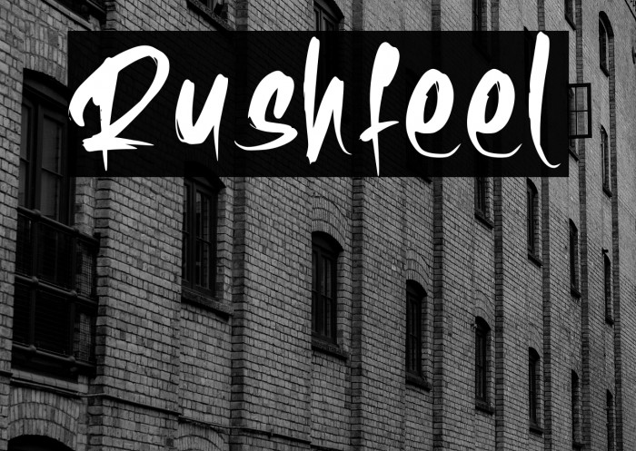 Rushfeel Example 2