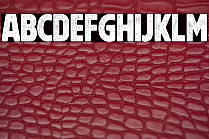 Rushford Printed Example 1