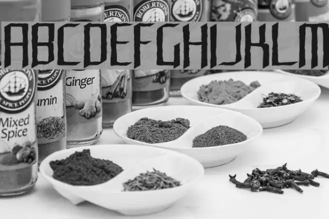 Rushil Test Font examples