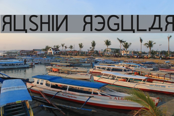 Rushin Regular Font examples