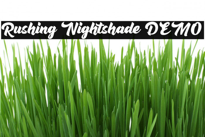 Rushing Nightshade DEMO Polices examples