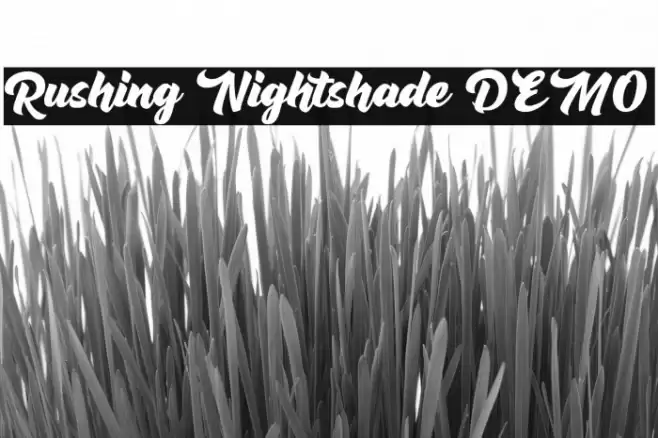 Rushing Nightshade DEMO Font examples