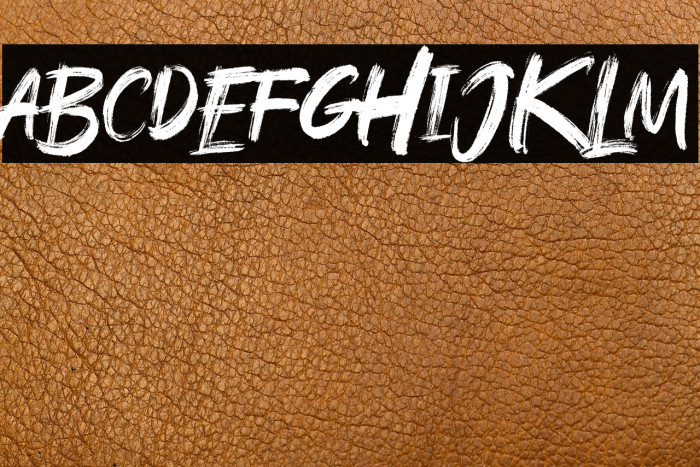 Rushink DEMO Example 2